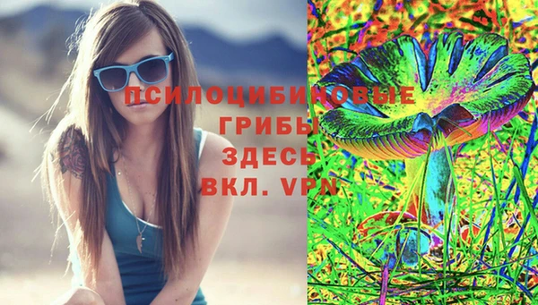 дживик Володарск