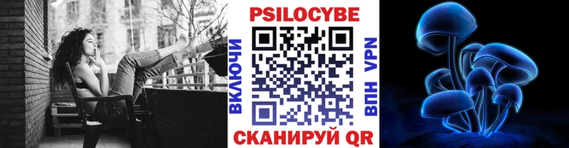 Купить  Павлово  Галлюциногенные грибы Cubensis 